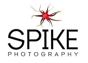 Spike Photography