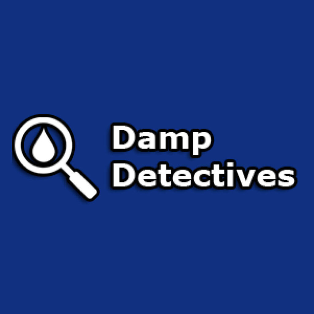 Damp Detectives